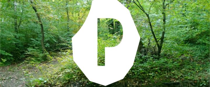 Le préhistomuseum est à la recherche d’un gestionnaire des Ressources Humaines et du Personnel (H/F/X) Le préhistomuseum est à la recherche d’un gestionnaire des Ressources Humaines et du Personnel (H/F/X)