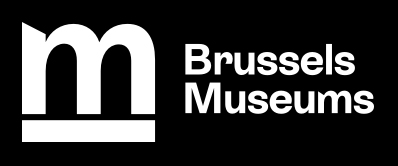 Brussels Museums recrute un responsable de projet Museum Night Fever et soutien de projets (f/m/x)